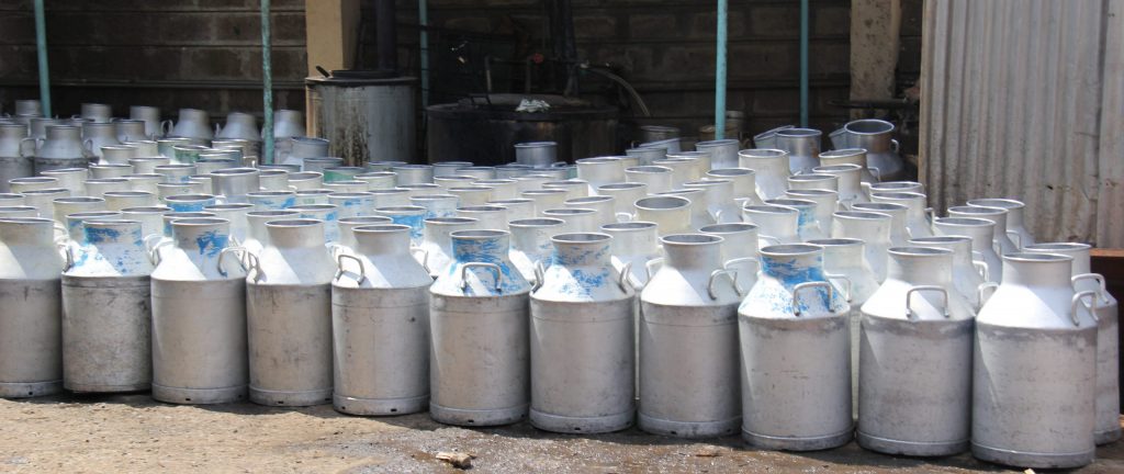 Milk cans at the Kiambaa Dairy Rural Sacco Society in Kenya. Tracking indicators like milk production will help funders ensure projects are making a difference for farmers. Photo credit: ILRI/Eyeris pictures media.