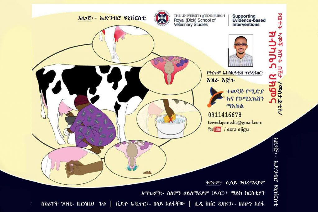 Mastitis training materials in Amharic