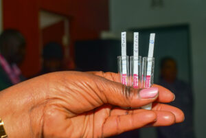 P4 Rapid tests show whether a cow is in heat (oestrus)