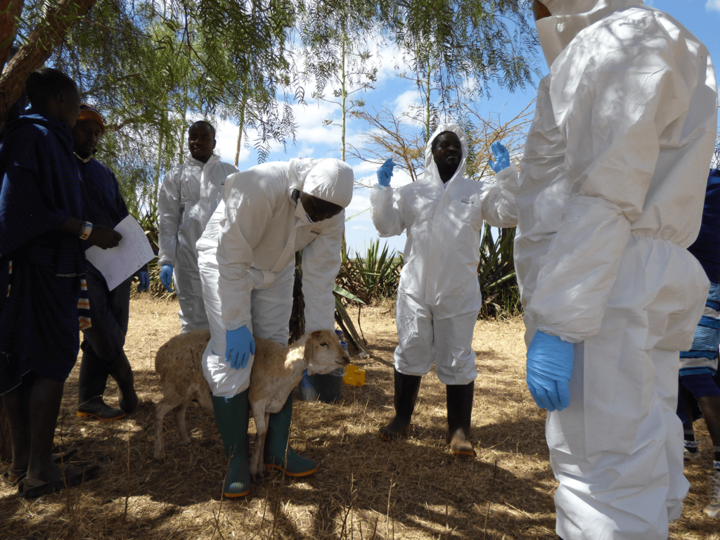 Tito Kibona from the research team, trains local veterinary health workers on surveillance methods.