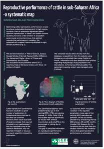 Reproductive performance of cattle in sub-Saharan Africa - a systematic map