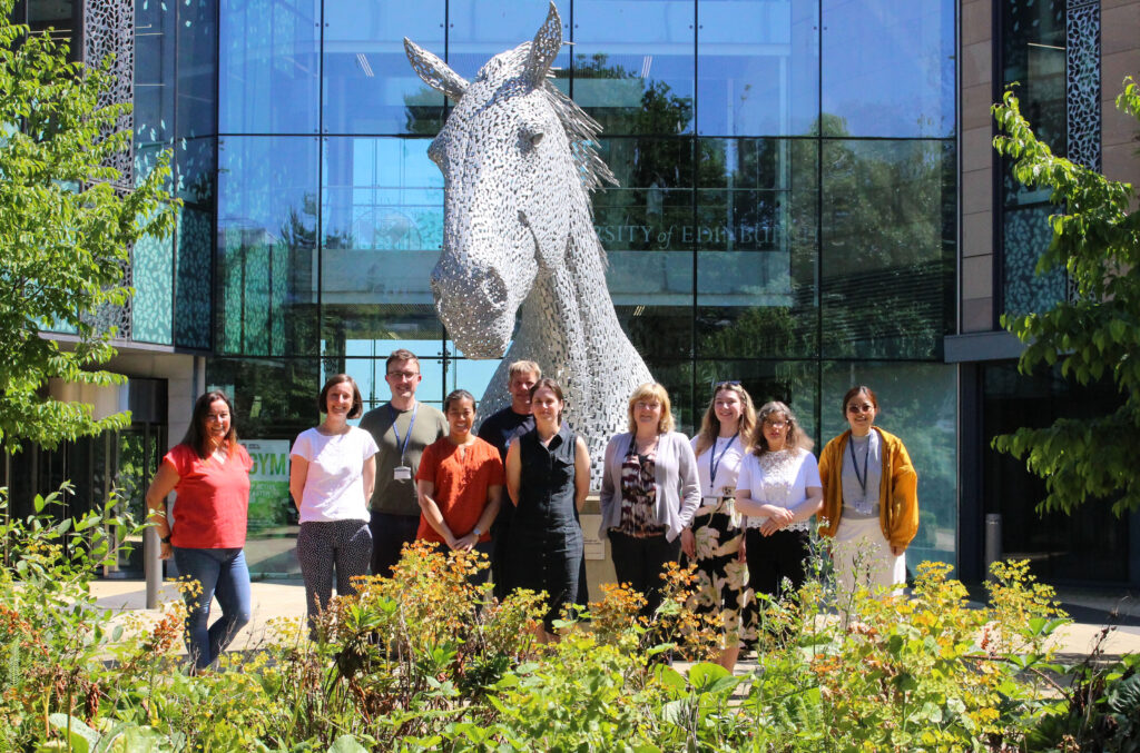 SEBI-Livestock team photo