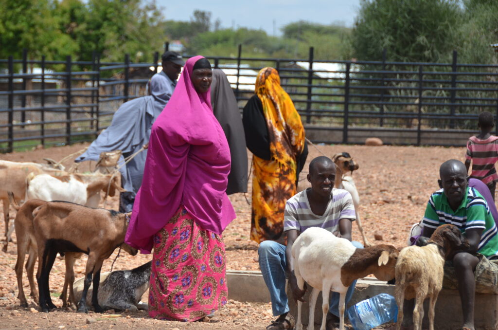 African women and men of different ages stand at outside with their sheep and goats